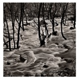 Torrens Gorge01, SA